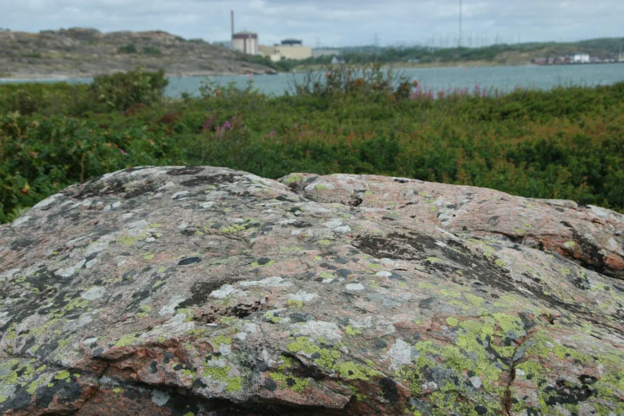 kärnkraft sverige