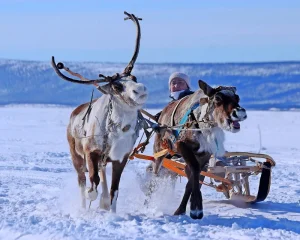 Minoritetsspråk i Sverige